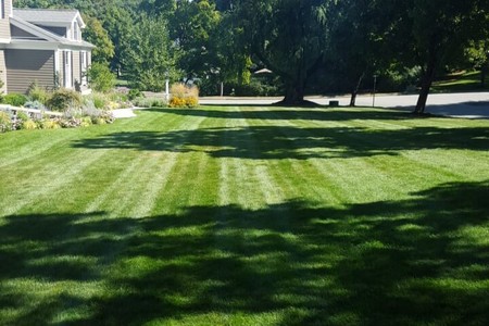 February plan 7 step fertilizer