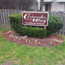 Commercial lawn care 5