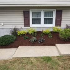 Decorative mulch 2