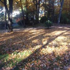 Fall cleanups 2