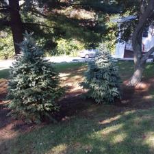 Seasonal planting 11