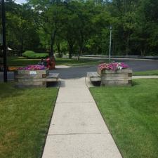 Seasonal planting 13