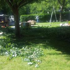 Shrub and ornamental trimming 1