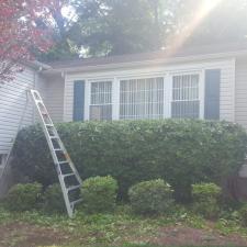 Shrub and ornamental trimming 2