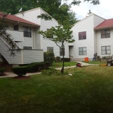 Shrub and ornamental trimming 4