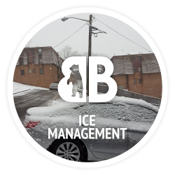 Residential ice management service