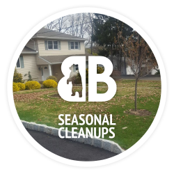 Seasonal cleanups