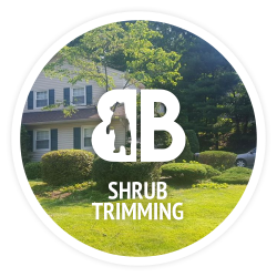 Shrub trimming