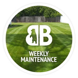 Weekly lawn maintenance